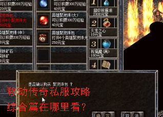 �ƶ�����˽�������ۺ�ƪ�����￴��