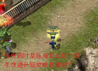 传奇四叶草私服怎么玩?新手快速升级攻略有哪些? 传奇四叶草私服怎么玩?新手快速升级攻略有哪些?