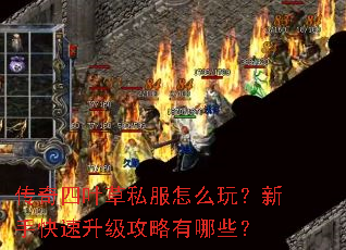 传奇四叶草私服怎么玩?新手快速升级攻略有哪些? 传奇四叶草私服怎么玩?新手快速升级攻略有哪些?