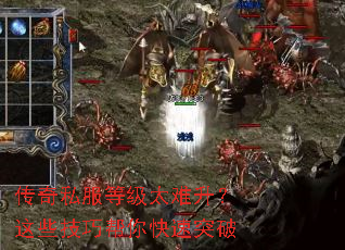 ����˽���ȼ�̫��������Щ���ɰ������ͻ��