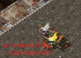 ��ʿPK��ĺ���С�������޳ܵ������ã�