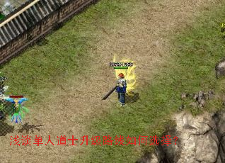 浅谈单人道士升级路线如何选择? 浅谈单人道士升级路线如何选择?
