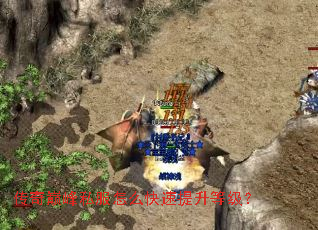 传奇巅峰私服怎么快速提升等级? 传奇巅峰私服怎么快速提升等级?