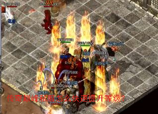 传奇巅峰私服怎么快速提升等级? 传奇巅峰私服怎么快速提升等级?