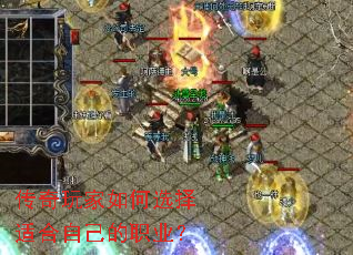 ����������ѡ���ʺ��Լ���ְҵ��