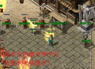 ��������Ѫ�����о���Ӱ����Щ���ԣ�