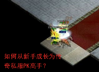 ��δ����ֳɳ�Ϊ����˽��PK���֣�