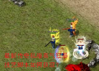 最新传奇私服喜气狂暴技艺脚本如何获取? 最新传奇私服喜气狂暴技艺脚本如何获取?