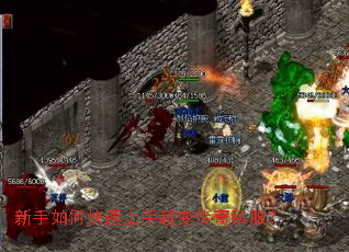 ������ο������ֳ��䴫��˽����