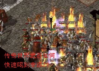 ��������������ο��ٺȵ�����7��