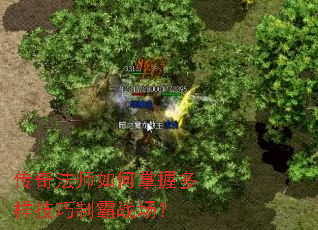 ���淨ʦ������ն��������ư�ս����