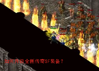 �������ȫ�´���SFװ����