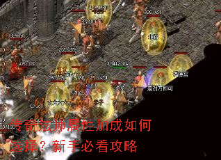 ���淨ʦ���Լӳ����ѡ�����ֱؿ�����