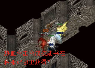 ��Ѫ�ϻ��ϳɼ�������˽��sf�����ã�