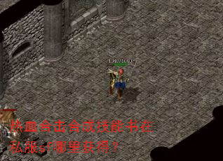 ��Ѫ�ϻ��ϳɼ�������˽��sf�����ã�