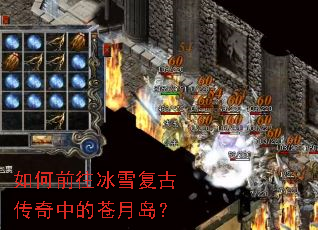 ���ǰ����ѩ���Ŵ����еĲ��µ���