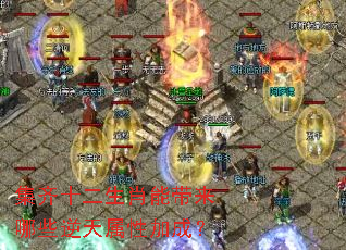 ����ʮ����Ф�ܴ�����Щ�������Լӳɣ�