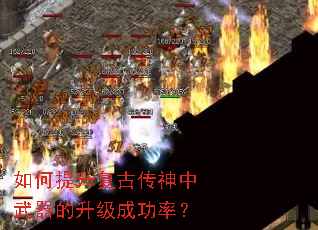 ����������Ŵ����������������ɹ��ʣ�