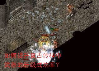 ����������Ŵ����������������ɹ��ʣ�