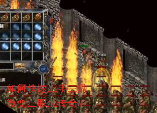 ��ο�����������΢����ְҵ���棿