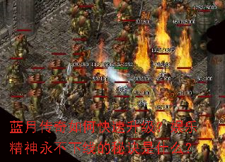 ���´�����ο������������־����������ߵ��ؾ���ʲô��