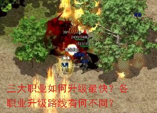 ����ְҵ���������죿��ְҵ����·���кβ�ͬ��