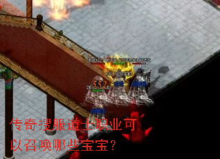 传奇搜服道士职业可以召唤哪些宝宝? 传奇搜服道士职业可以召唤哪些宝宝?