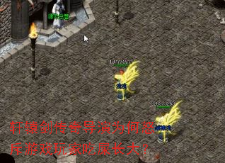 轩辕剑传奇导演为何怒斥游戏玩家吃屎长大? 轩辕剑传奇导演为何怒斥游戏玩家吃屎长大?