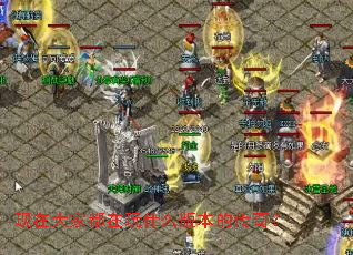 ���ڴ�Ҷ�����ʲô�汾�Ĵ��棿