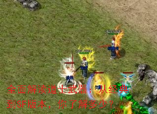 全面解读道士武器:从经典到SF版本,你了解多少? 全面解读道士武器:从经典到SF版本,你了解多少?