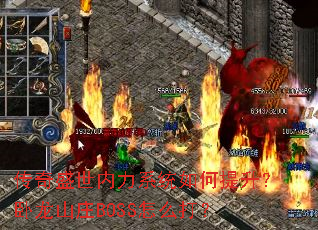 ����ʢ������ϵͳ�������������ɽׯBOSS��ô��