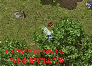 ����֮����ο����𲽣����ֱؿ��ư�ȫ����