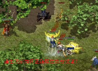 道士玩家如何正确释放治疗技能? 道士玩家如何正确释放治疗技能?