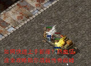 如何快速上手新服?热血征途全攻略助你成就传奇巅峰 如何快速上手新服?热血征途全攻略助你成就传奇巅峰