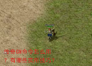 ����GM������ô�ã�����Щʵ�ü��ɣ�