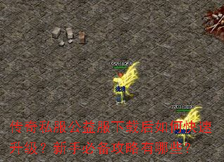 ����˽����������غ���ο������������ֱر���������Щ��