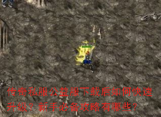 ����˽����������غ���ο������������ֱر���������Щ��