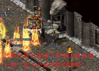 ����˽����������غ���ο������������ֱر���������Щ��