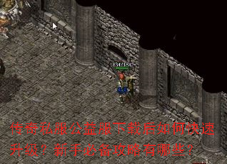 ����˽����������غ���ο������������ֱر���������Щ��