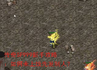 ����SF999���ֹ��ԣ����δ�����ȷ����ˣ�