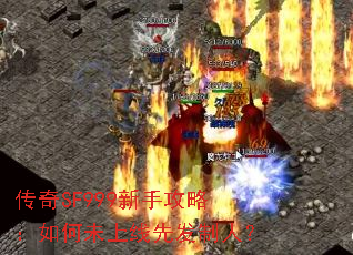 ����SF999���ֹ��ԣ����δ�����ȷ����ˣ�