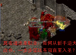 ڤҹ��;��ְҵ����δ��������������һ������ս���ֱ����ʥ��