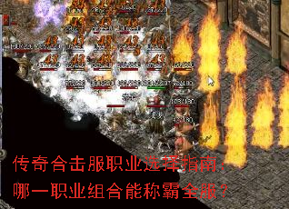 ����ϻ���ְҵѡ��ָ�ϣ���һְҵ����ܳư�ȫ����