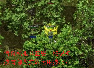 ����˽����������ռ�������Щʵս���ü��ɣ�