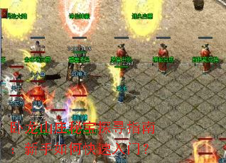 ����ɽׯ�ر�̽Ѱָ�ϣ�������ο������ţ�