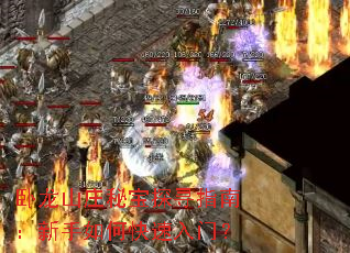 ����ɽׯ�ر�̽Ѱָ�ϣ�������ο������ţ�