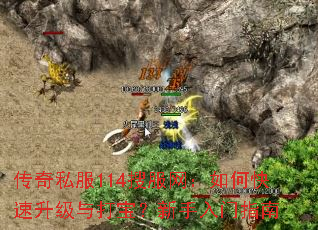 ����˽��114�ѷ�������ο���������򱦣���������ָ��