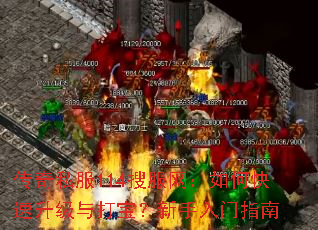 ����˽��114�ѷ�������ο���������򱦣���������ָ��