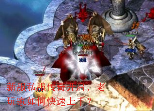 �·�˽�����濪�����������ο������֣�