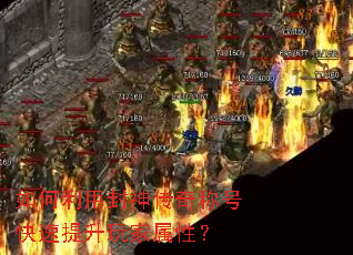 ������÷�����ƺſ�������������ԣ�